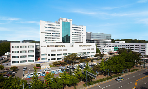 고려대학교의과대학부속안산병원's Image