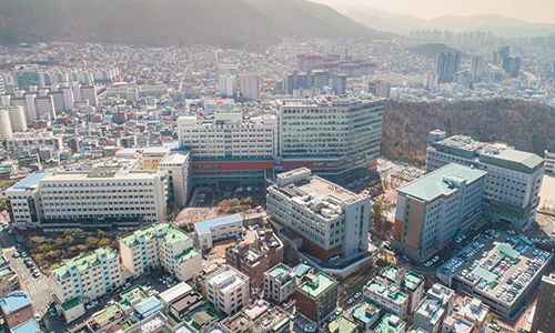 대구가톨릭대학교병원's Image