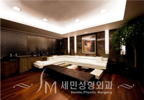 세민성형외과의원's Image