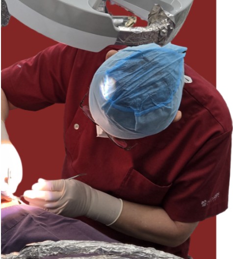 가락우리치과의원's Image